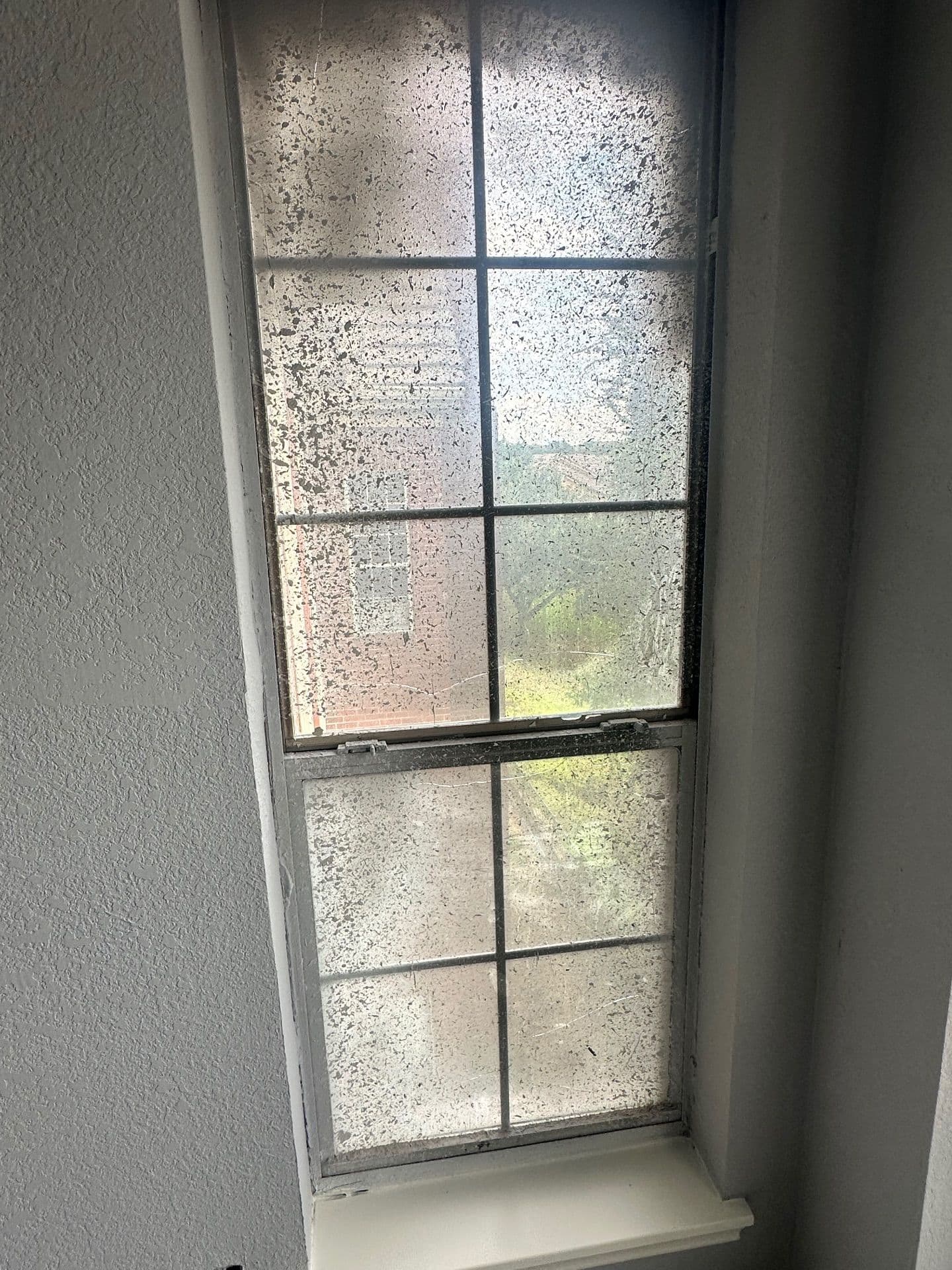 Gallery photos for Glass Change Outs for Better Clarity and Comfort: Image #4