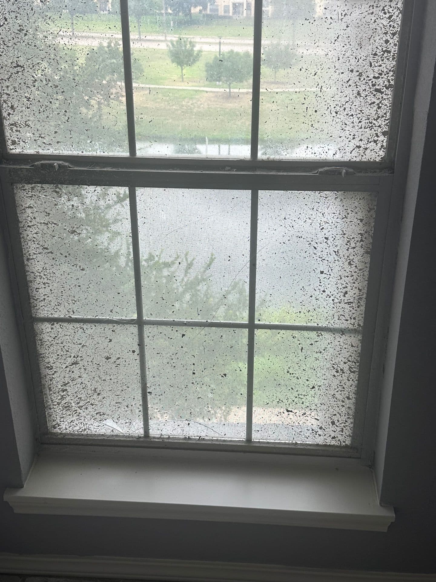 Gallery photos for Glass Change Outs for Better Clarity and Comfort: Image #3